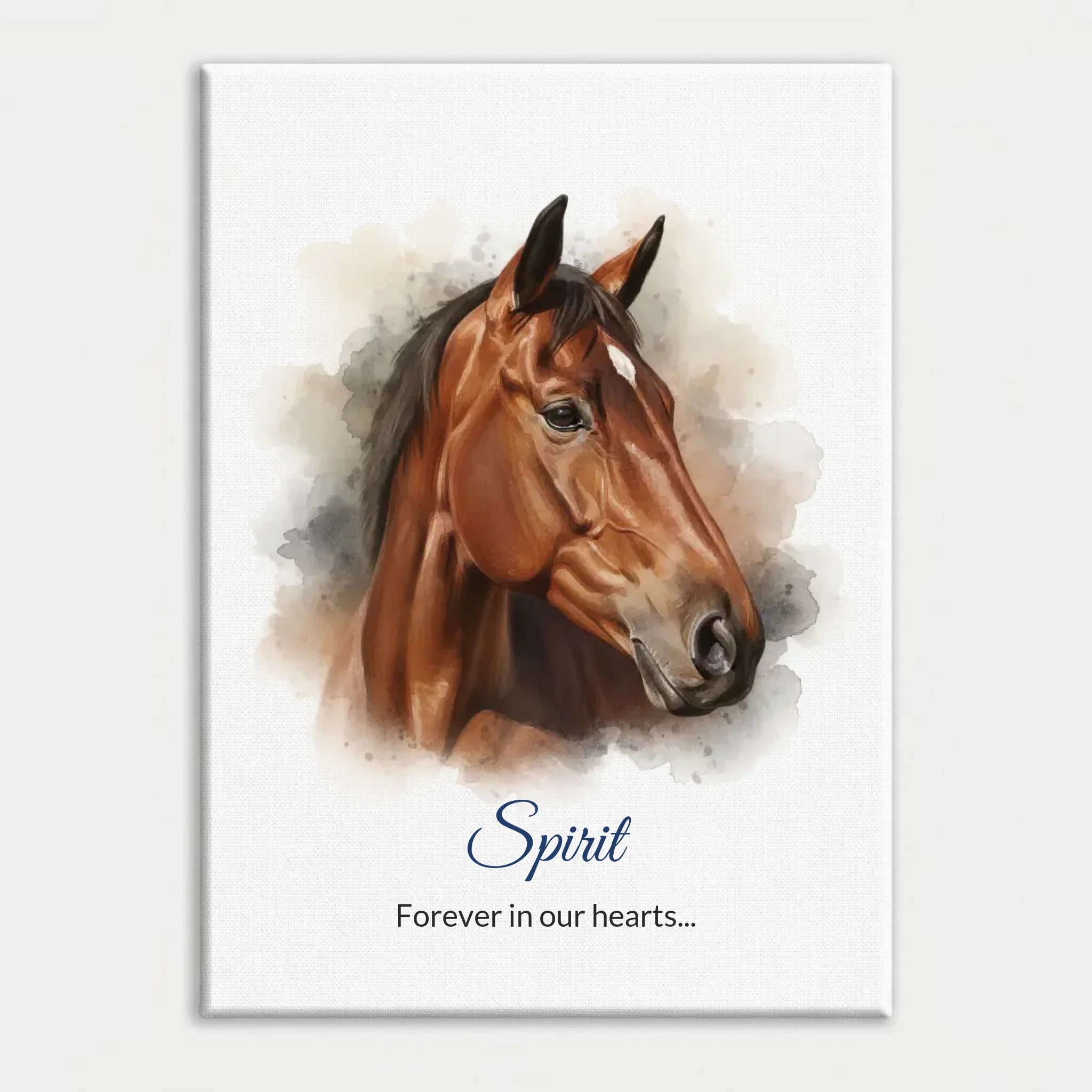 zhwhgffpz9rmw0cx0wbvmzr87c