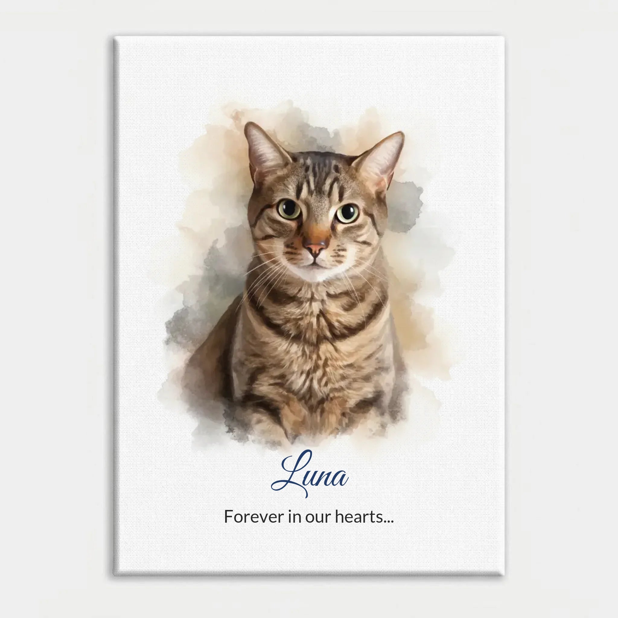 zhwhgffpz9rmw0cx0wbvmzr87c