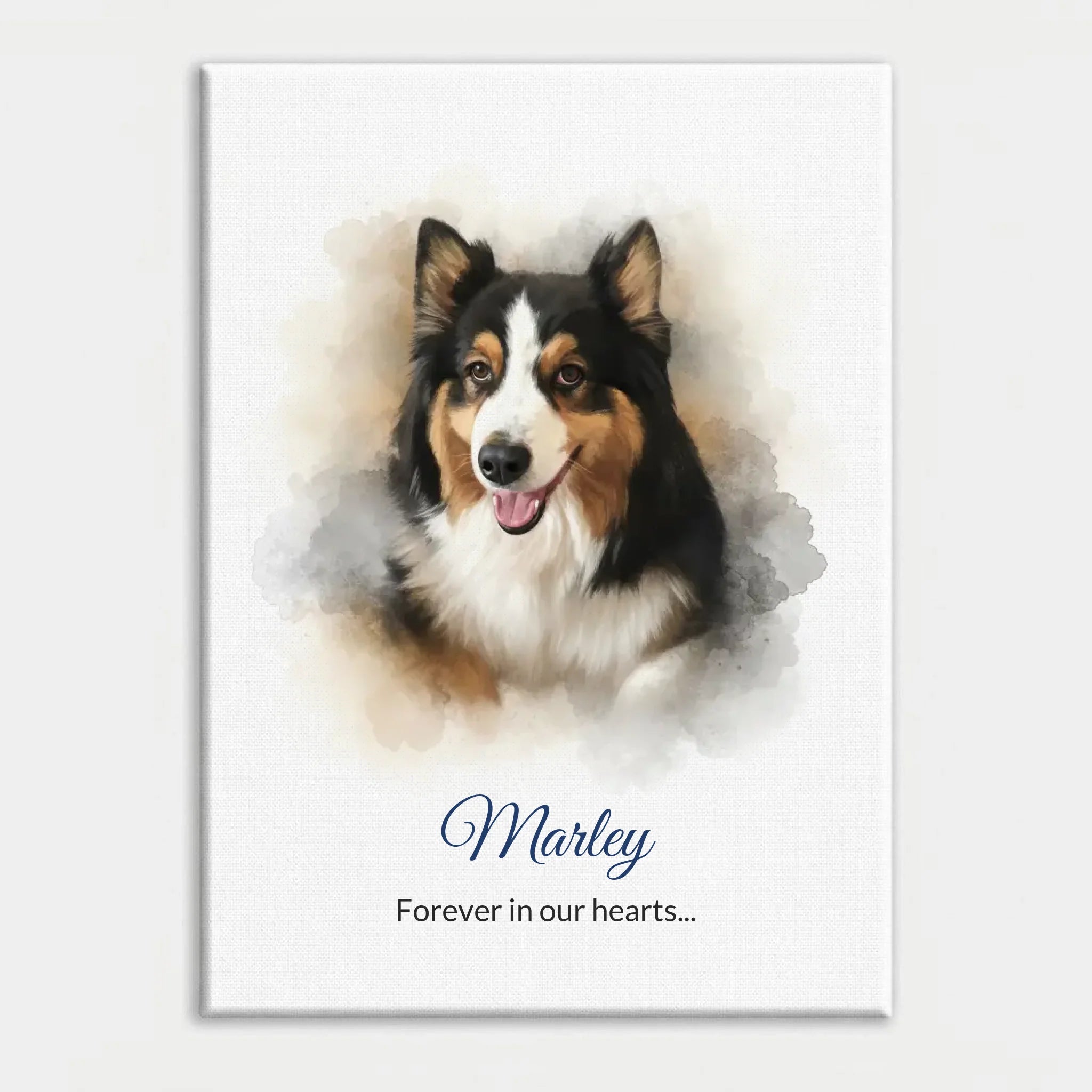 zhwhgffpz9rmw0cx0wbvmzr87c